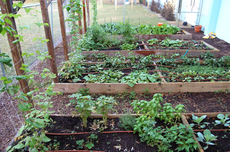 BGCA Amway Garden