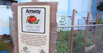 BGCA Amway Positive Sprouts