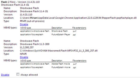 Chrome Flash Plug-ins