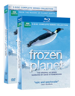 BBC's Frozen Planet DVD and Blu-Ray