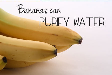 Bananas Can Purify Water