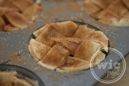 Sugar and Cinnamon on Baby Apple Pies