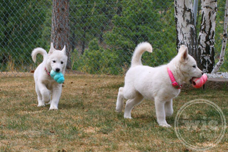 Sophie and Sera