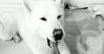 Sophie Yawning