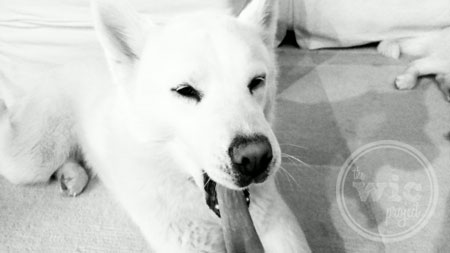 Sophie Yawning