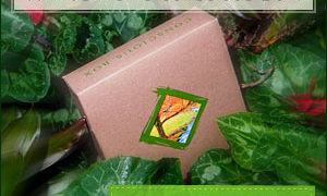 Conscious Box