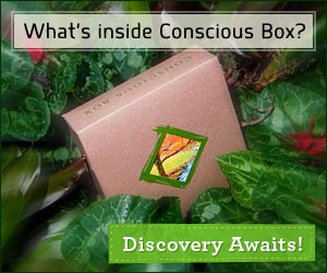 Conscious Box