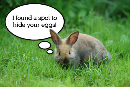 Easter Bunny Hiding Spot