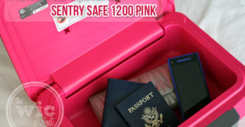 Protect your Belongings with the Sentry Safe 1200 Pink Fire Safe