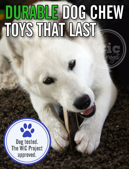 Durable Dog Chew Toys