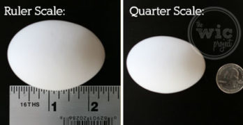 Egg Pics