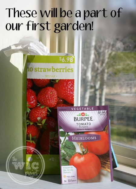 Future  Garden