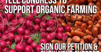 Support Organic Farming
