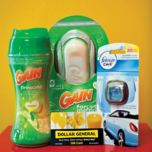 P&G and Dollar General Every Day Hero Prize Pack