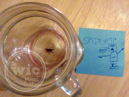 Spider - Eek!
