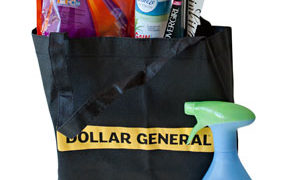 P&G and Dollar General Prize Pack
