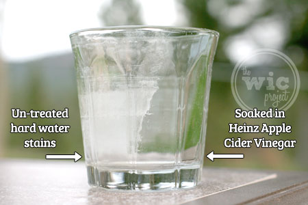 Glass Comparison - Cleaning with Vinegar