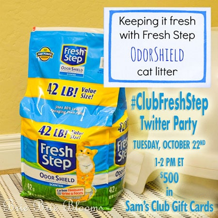 #ClubFreshStep Twitter Party