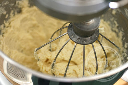 Cupcake Batter Mixture
