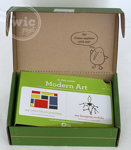 Kiwi Crate Modern Art Box