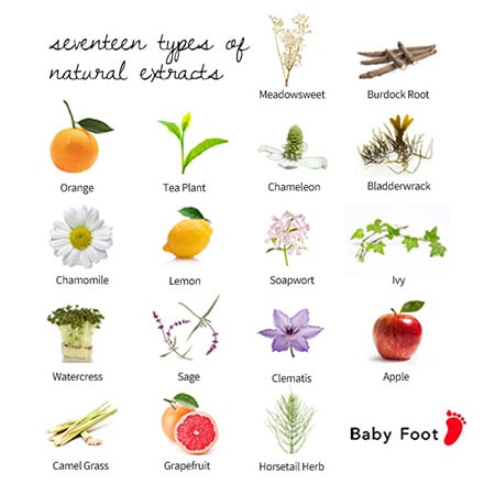 Baby Foot Ingredients