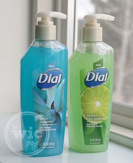 Dial Deep Cleansing Hand Soap