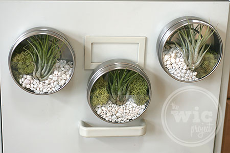 Darby Smart Mini Terrarium Tin