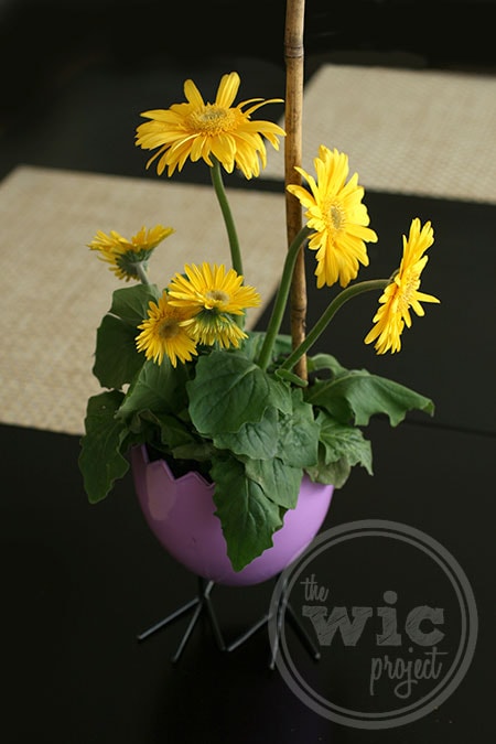 FTD Chicks Charm Springtime Gerbera Daisy Plant
