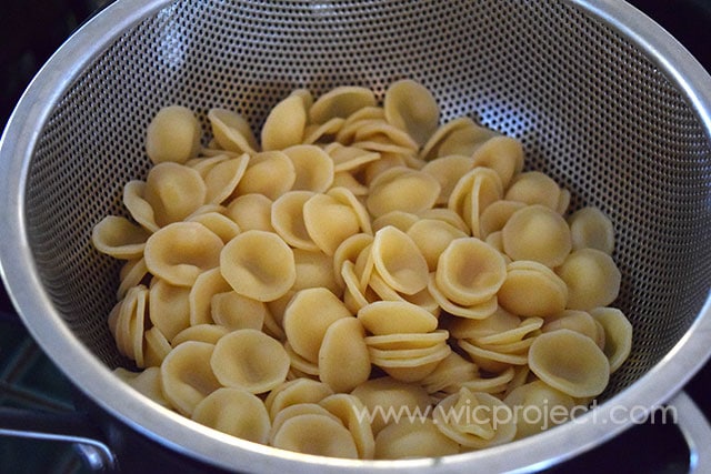 Chicken Apple Alfredo Orecchiette - Pasta