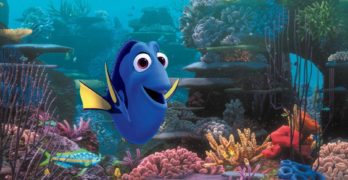 Finding Dory