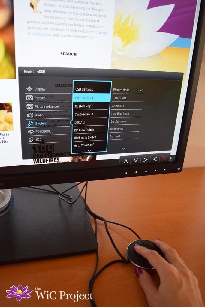 BenQ BH3201PL Monitor Review - OSD Controller