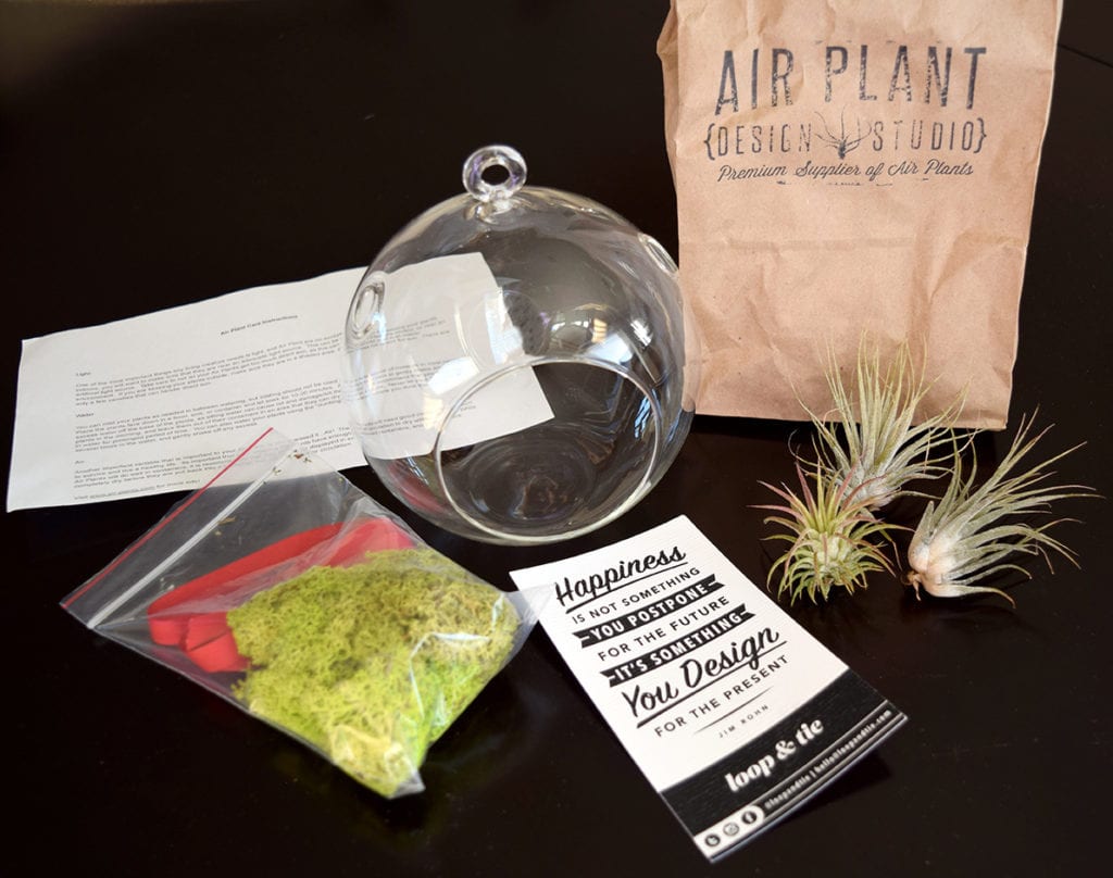 DIY Terrarium Kit