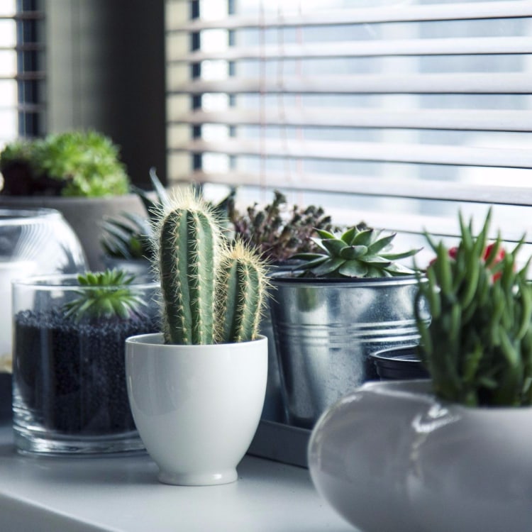 Small Home Decor Changes That Make a Big Impact