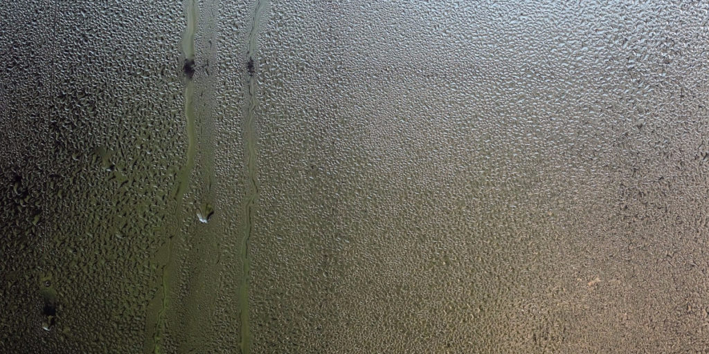 Protect Your Home from Damp and Moisture