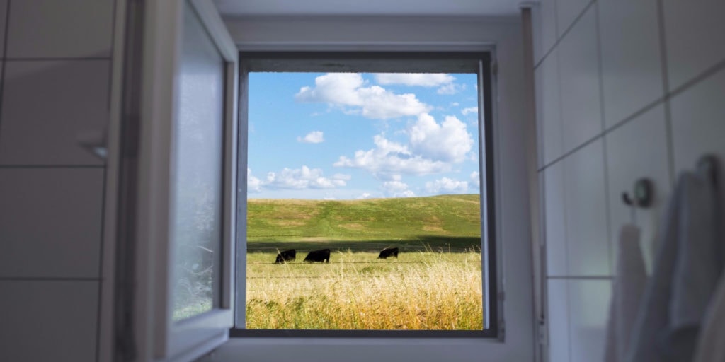 Protect Your Home from Damp and Moisture