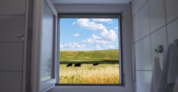 Protect Your Home from Damp and Moisture