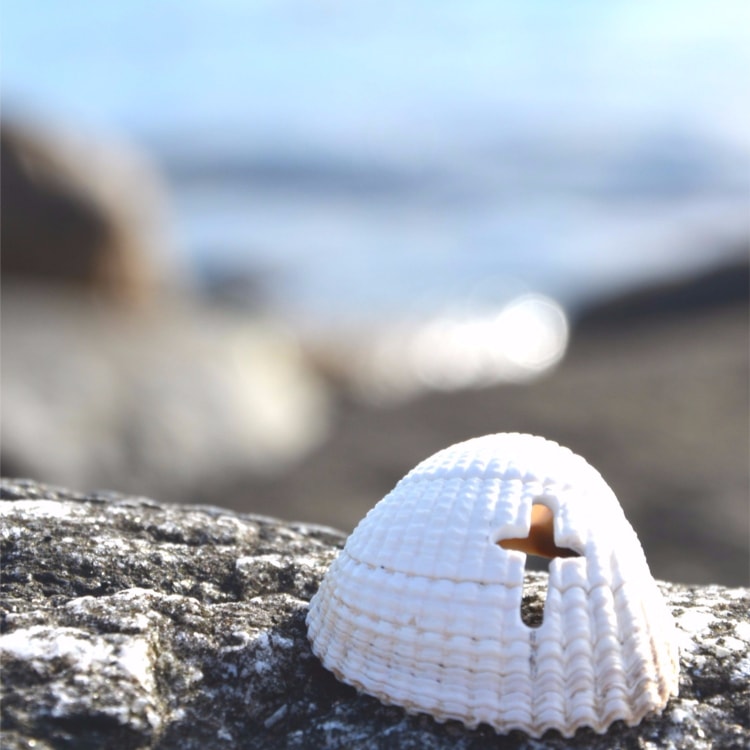 Need to Recharge? Take a Spiritual Retreat