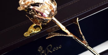 The Eternity Rose – A Precious Gift Loved Ones Will Cherish