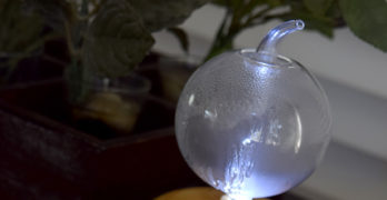 How To Easily Use Essential Oils in Your Home
