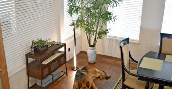 How to Add Light to a Room with Brightech LED Lighting
