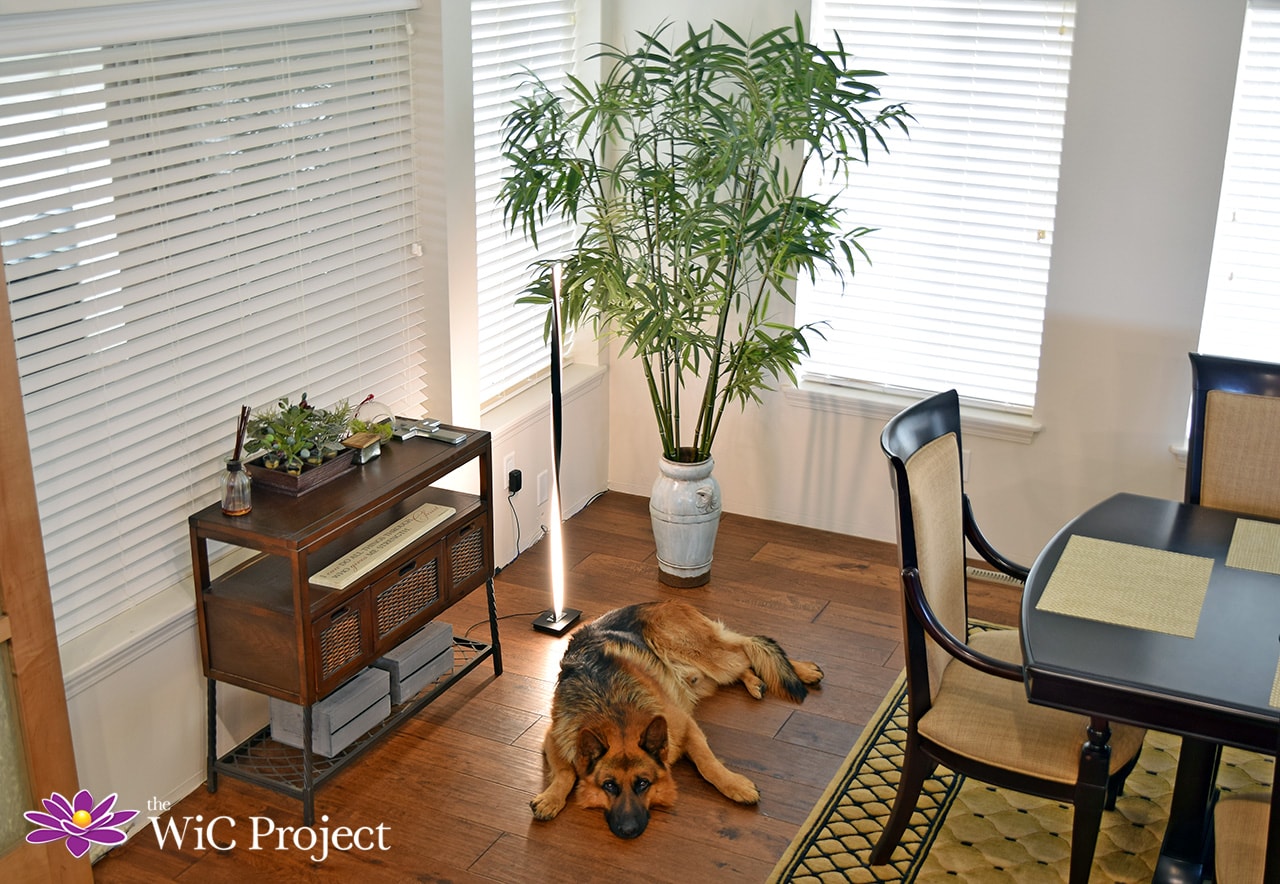 How to Add Light to a Room with Brightech LED Lighting