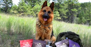 Celebrate National Jerky Day with T.O.P. Chops Beef Jerky
