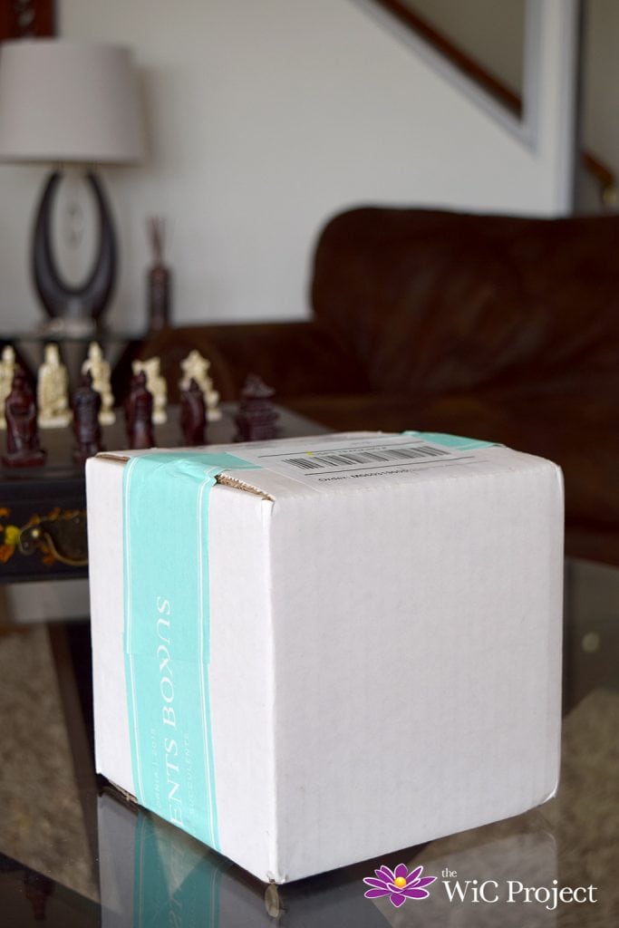 Succulent Box Review: Is It Worth It? Succulent & Cactus Monthly Subscription Box