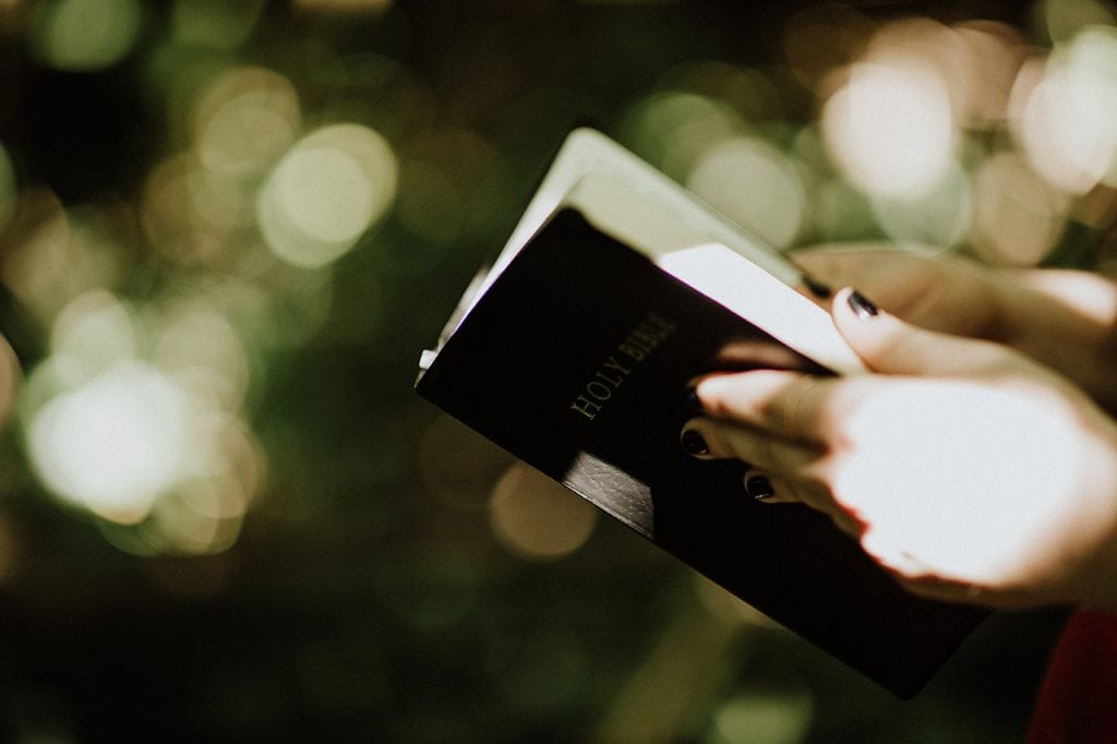 Hands Holding a Bible