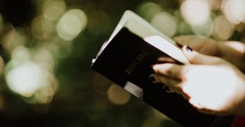 Hands Holding a Bible