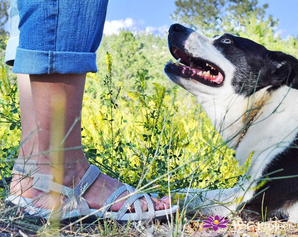 Viakix Samara Walking Sandal - Ready for Adventure