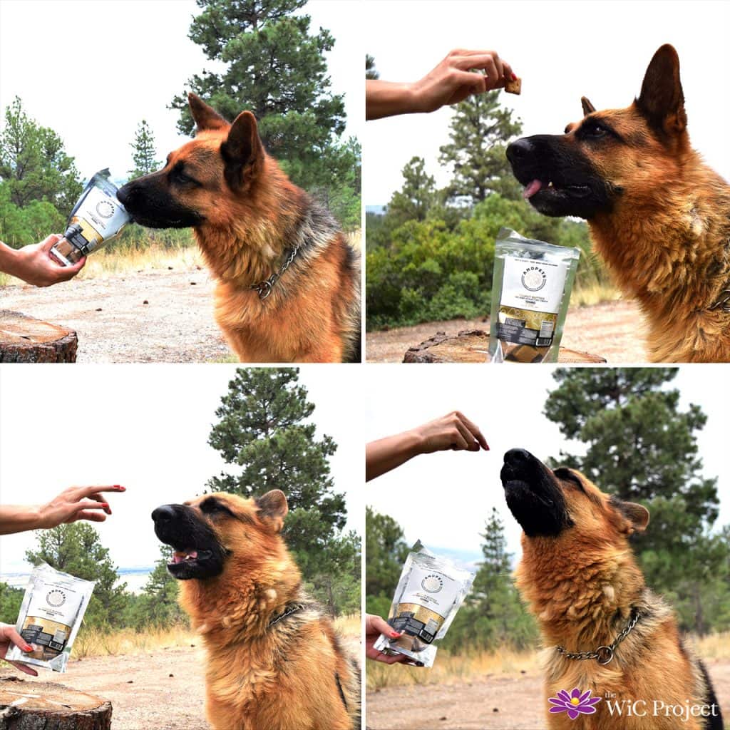 Judah Enjoys AndHemp AndPets Peanut Butter Treats