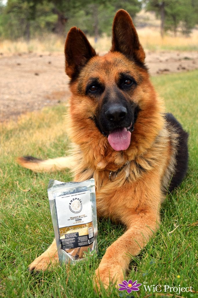 Help Relieve Stress and Anxiety in Your Dog with AndHemp CBD Peanut Butter Dog Treats