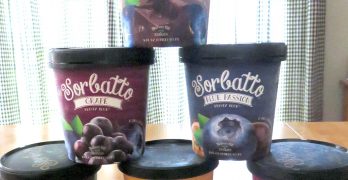 Sorbatto Frozen Desserts Flavors