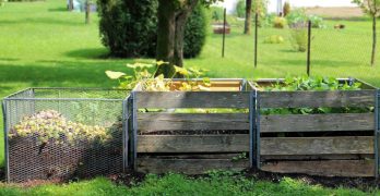 Garden and Compost Bin